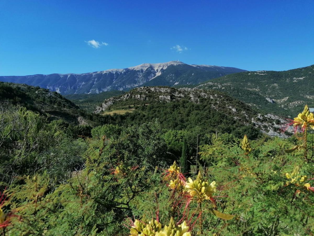 Les Villas Dorees - Villa Soleil Face Au Mont Ventoux Plaisians Kültér fotó